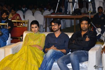 Ekkadiki Pothavu Chinnavada Movie Audio Success Meet